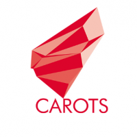 Участие в Отчетной web-конференции проекта CAROTS
