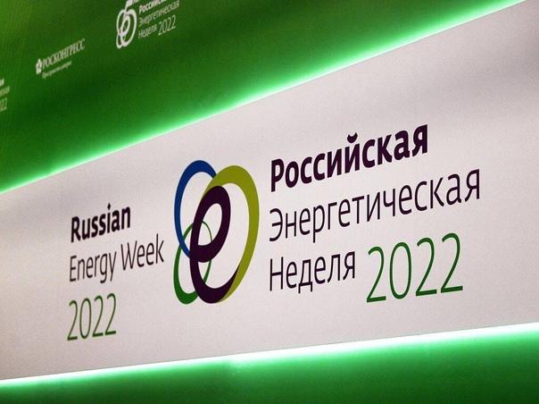 Участие в юбилейном Молодежном дне Российской энергетической недели