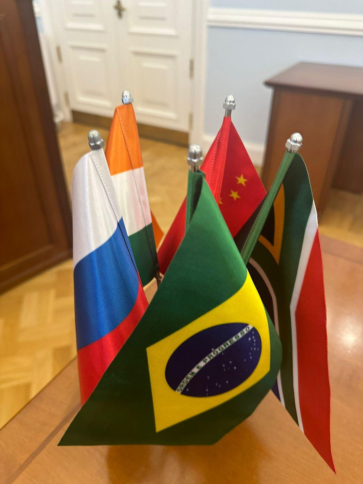 На заседании рабочей группы форума стран «BRICS+» 