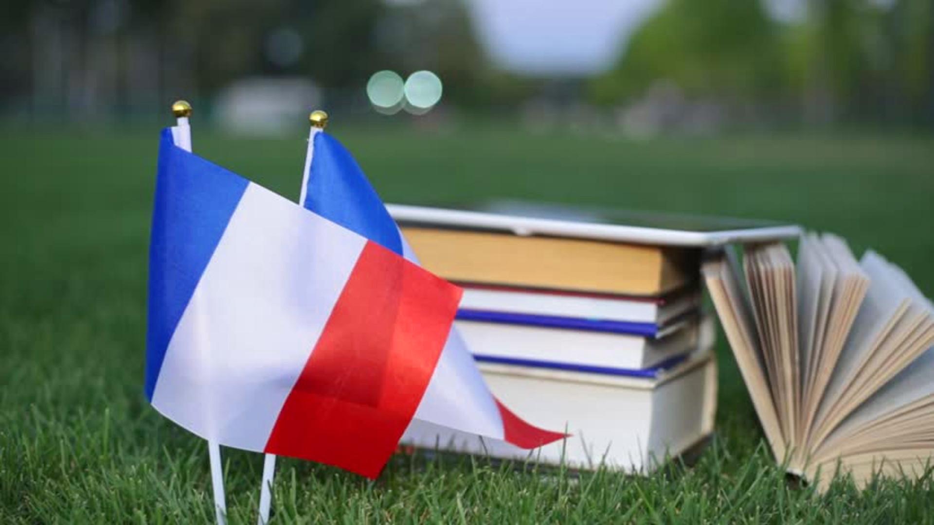 Стипендии французского правительства на обучение в вузах Франции