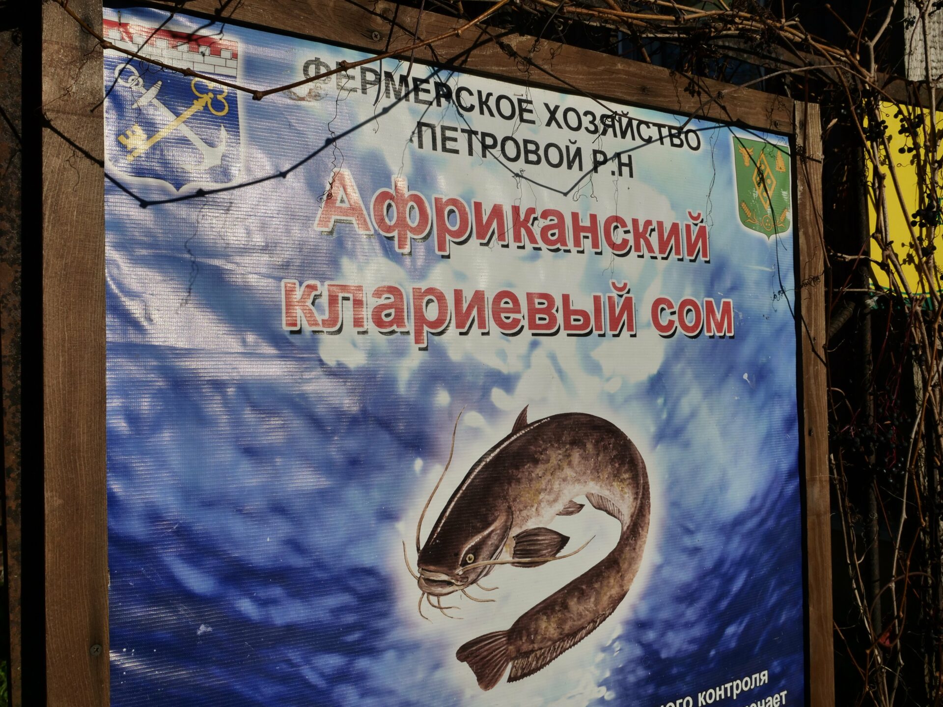 Выездной мастер-класс для слушателей и преподавателей программы ЕМВА «Управление предприятием»