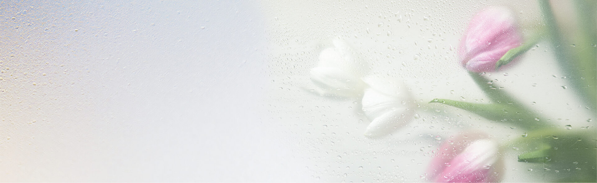 Поздравляем с 8 марта!