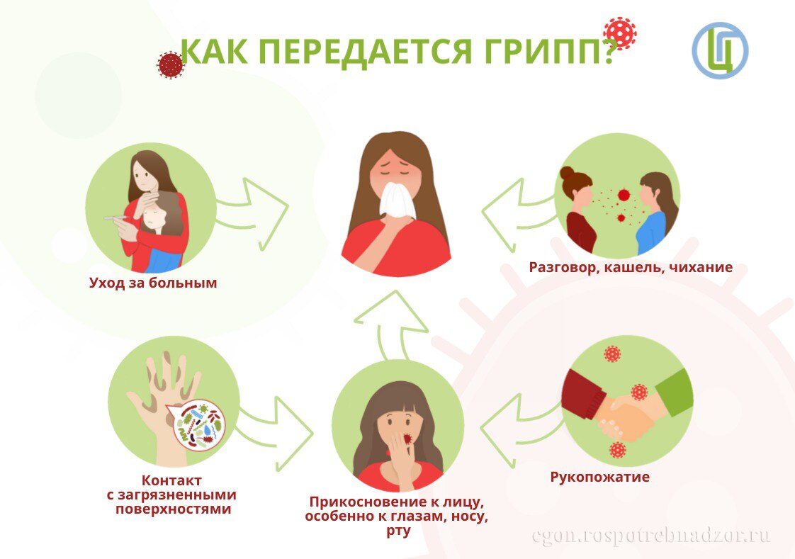 Вакцинация против гриппа